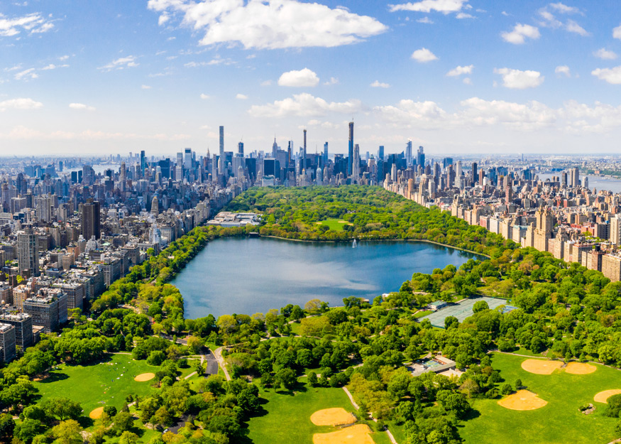 NEW YORK 2026-27 "Young"